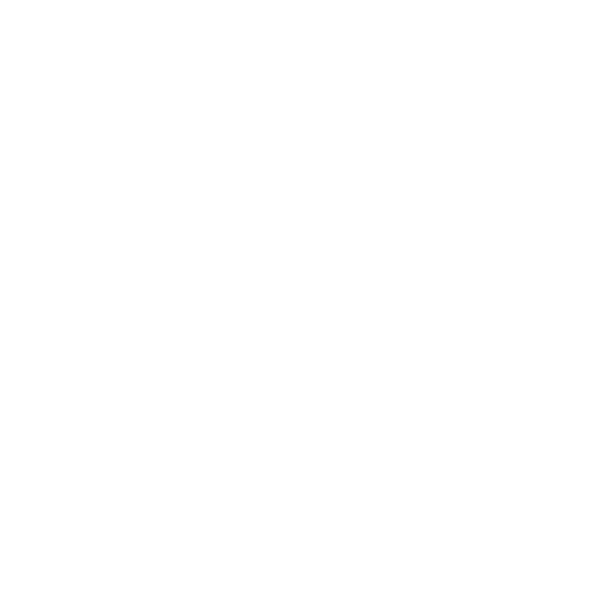 BRAVO TRAINING LOGO